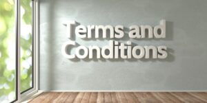 cv666 Terms and Conditions